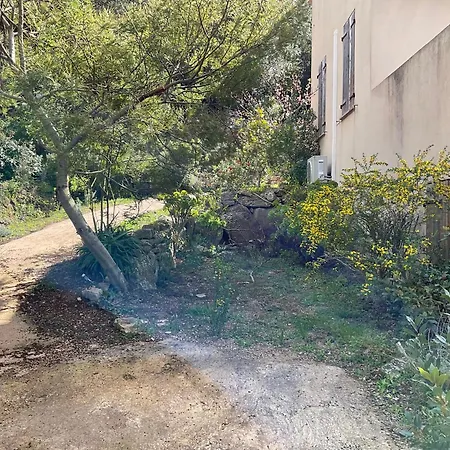 Altana - Wifi - View - Terrace - Figari