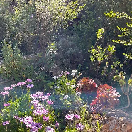Altana - Wifi - View - Terrace - * Figari