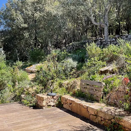 Altana - Wifi - View - Terrace -