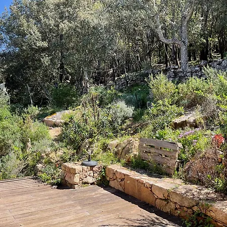 Altana - Wifi - View - Terrace -